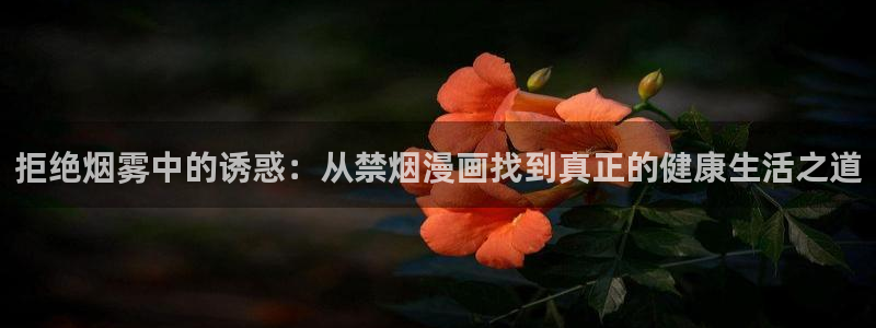 韩漫漫画网：拒绝烟雾中的诱惑：从禁烟漫画找到真正的健康生活之道